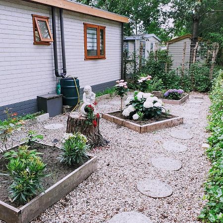Chalet 58 "Pollie" Hattemerbroek Екстериор снимка